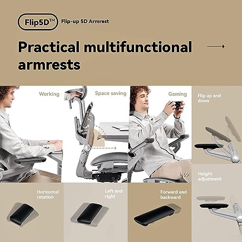Image of HINOMI H1 Pro 3D Lumbar Support Ergonomic Office /Gaming Chair (Gray, Extra-High)
