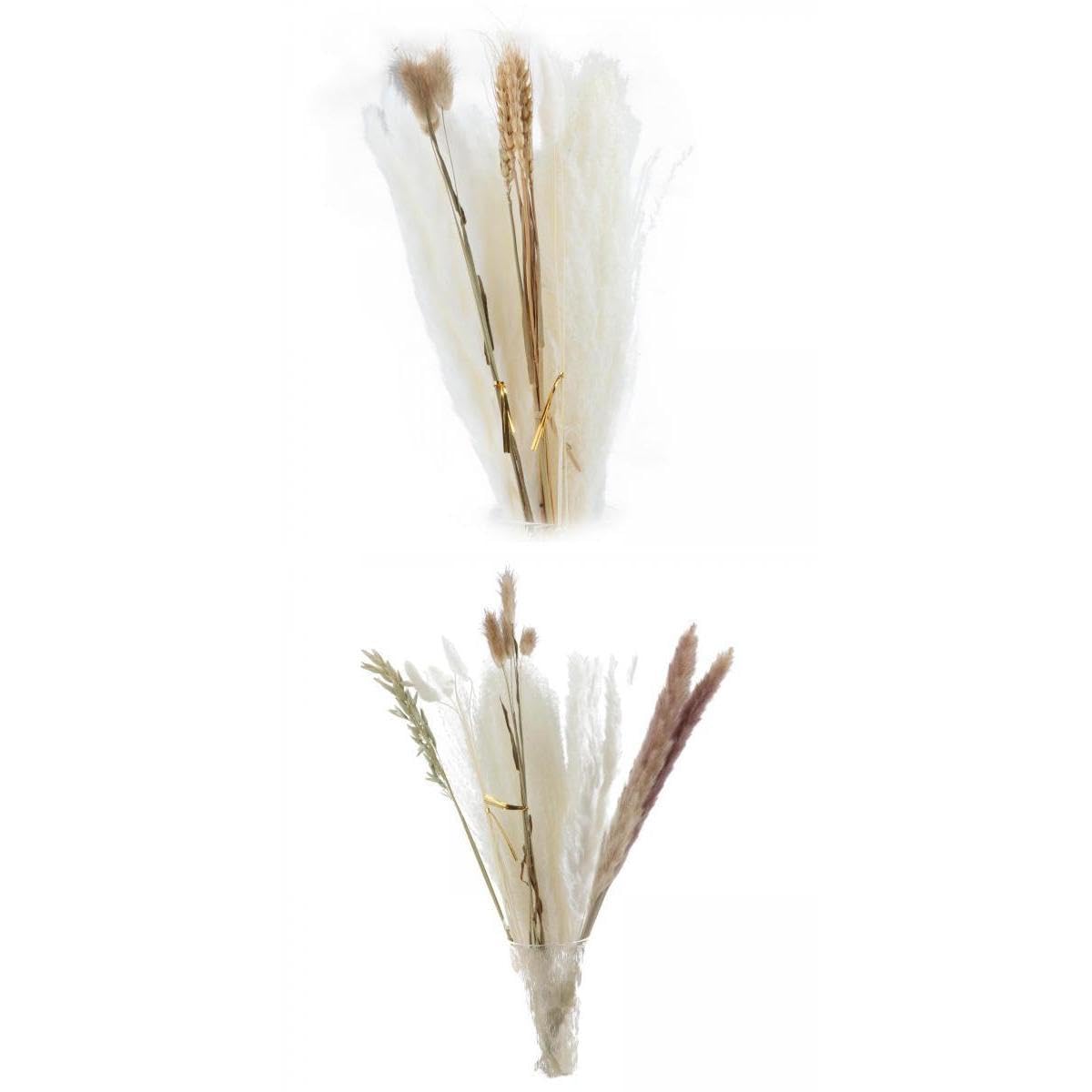 Dried Pampas Grass Bunch Bouquet Flowers Reed Flower Wheat Cereal-image-43