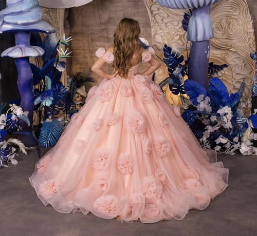 Tulle Flower Girl Dresses Off Shoulder Pageant Dress 3D Floral Formal Princess Party Ball Gown for Girls4