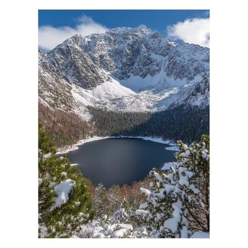 �������G �� �G�� ��|�L�b�g �y�C���g�o�C�i���o�[ �X�m�[�}�E���e�� ����L�b�g �� �A�N�����G�̋� �M �L�����o�X 30 x 40cm �E�H�[���A�[�g ��� �L�����o�X�G��p�L�����r���O���[���Q���̉Ƃ̑��� �Ǐ��� �M�t�g JLYH-11249