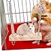 Imagen de Columpio para hámster,Hamster Columpio