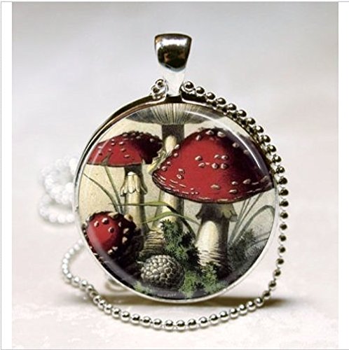 Mushroom Necklace Red And White Toadstools, Nature, Woodland, Hippie #TOP1