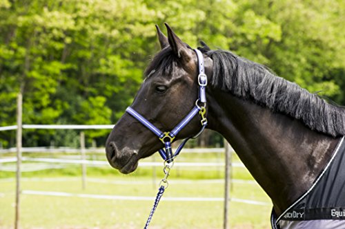  EKKIA Licol Tricolore Doux - Violet/Noir/Blanc...