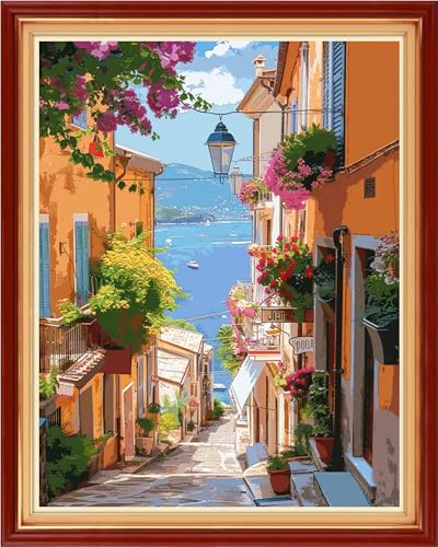 Image of Artvxeay Stamped Cross Stitch Kits - Embroidery Kits for Beginners Cross Stitch Kits for Adults 11 CT Printed Patterns Needlepoint Kits- Seaside Street View 16x20 inch