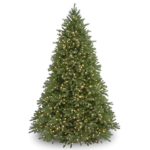 National Tree 6.5 Foot Jersey Fraser Fir Tree