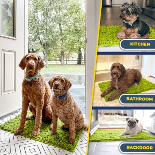 Image of Muddy Mat | Super Water Absorbent Door Mat Indoor, Microfiber Quick Dry Chenille Entryway Rug,Slip Resistant Front Door Mat,Indoor Mats for Entryway,Machine Washable Pet Rug, Spring Green 24 inch x 44 inch