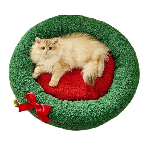 BrownPup ybgxbh L nEX  nEX Q  LbgnEX ~΍ 􂦂 p ۉh xe  킢 lGKp ~ g lR  Ck ^ p (΂̃JGی^xbh,M)