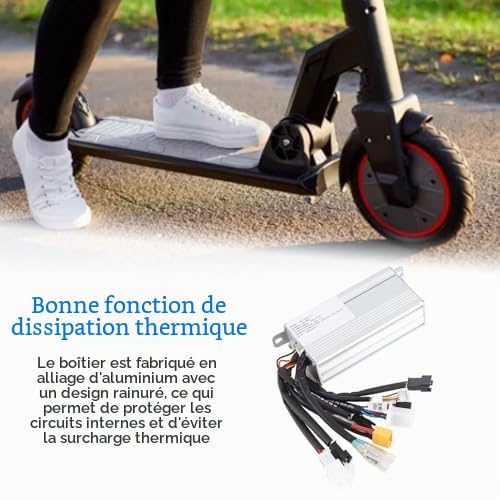 Contrôleur de Double Entraînement pour Scooter électrique, Contrôleur de Moteur de Vélo électrique 48V 800W, Module de Commande Principal T4 DB L148