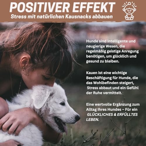 PrideDogs Büffelfleischstreifen 1000g - Premium Kausnack für Hunde - 100% Büffel Deutscher Herstellung - verschließbarer Beutel