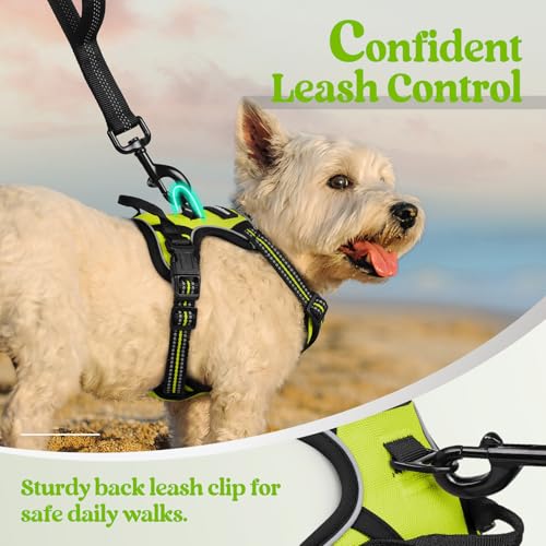 Image of rabbitgoo Dog Harness No Pull with 2 Leash Clips, Adjustable Soft Padded, Reflective Oxford No Choke Pet Vest with Easy Control Handle for Puppy, Green, XS