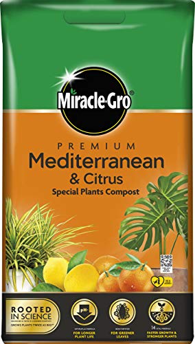 Miracle-Gro Mediterranean Citrus Compost - 6L BAG, (New 2020 Range)