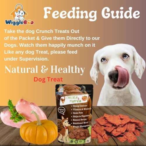 Image of Chicken & Pumpkin Dog Treat | Travel Pack |Protein Rich | Natural De-wormer | for All Dog Breed | Crunchy Snack | 45g