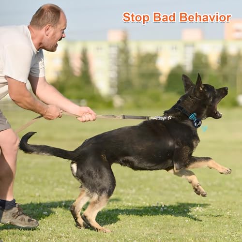 Neoally-2-in-1-Dog-Training-and-Bark-Control-Collar-Smart-Anti-Barking-Collar-with-and-with-No-Remote-for-5-150-lbs-Small-Medium-Large-Dogs-Rechargeable-and-Waterproof-Receiver-Black