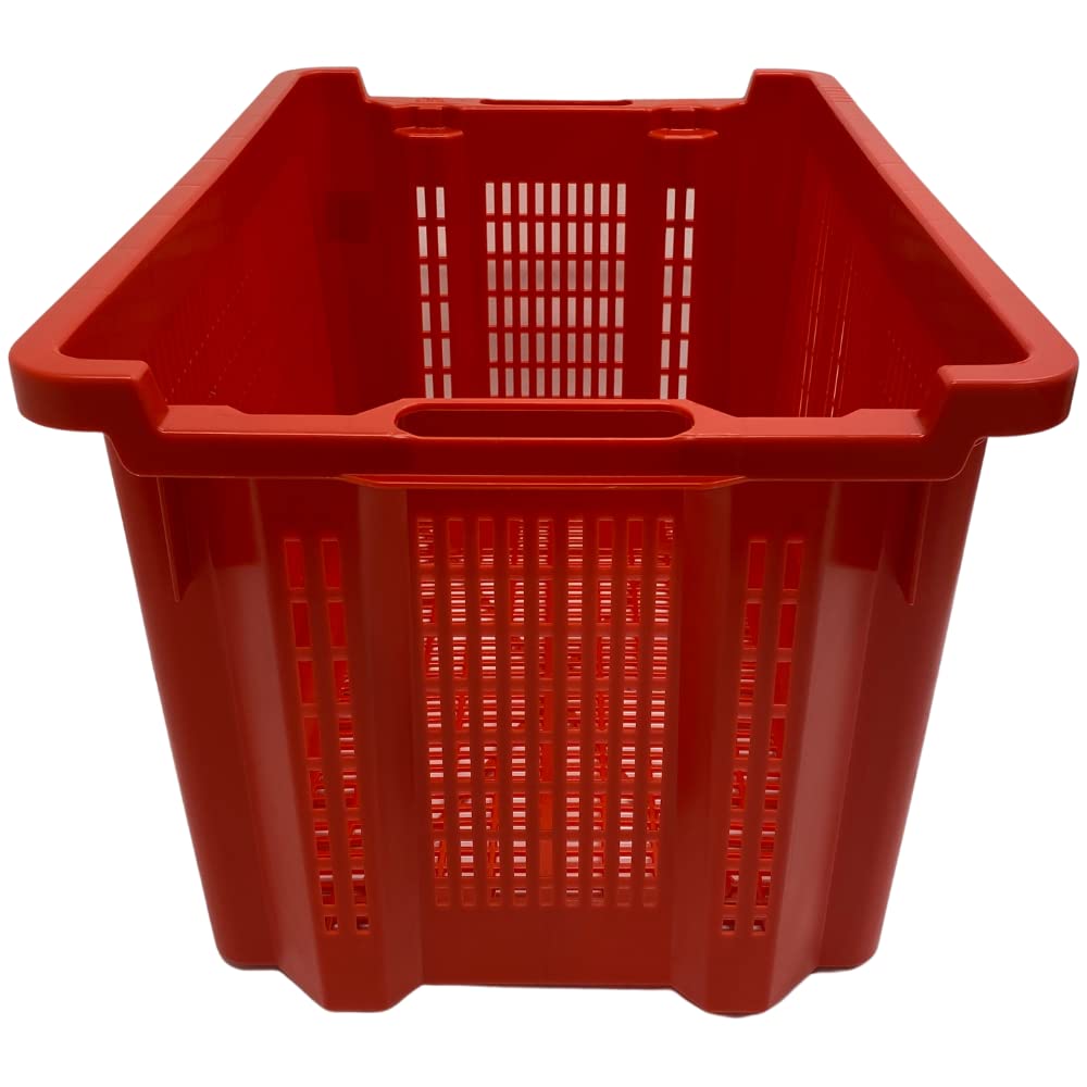 acquaverde | 10 Cassette Agricole con Fondo Traforato in Plastica 40 Litri (30 kg), Cesta per Raccolta Olive, Impilabili e Sovrapponibili, Con Manici, cm. 56x35x31