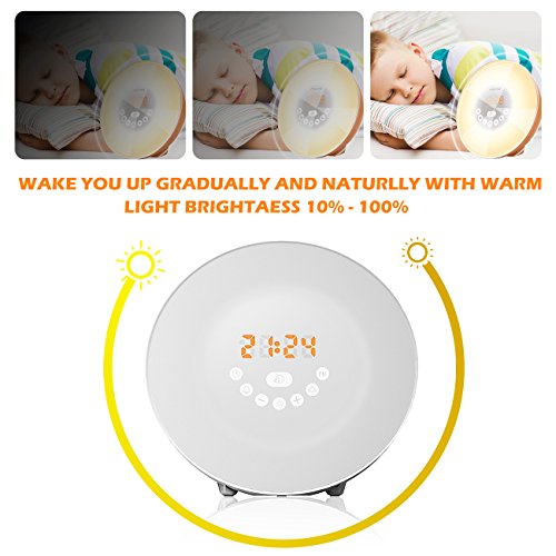 Mosche Sunrise Alarm Clock Review Luxe Luminous