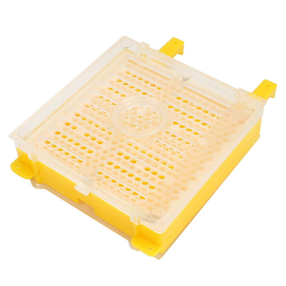 Kit per Allevamento di api, Kit per Allevamento di api in plastica Set per Allevamento di api in plastica Accessori per Attrezzi per l'apicoltura di Bottiglie per marcatura di Gabbie