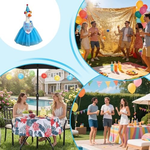 Disfraz de ganso para cumpleaños y decoración de fiestas en el salón de casa 4