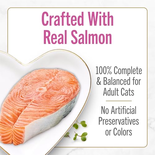 Purina Fancy Feast Petites Seared Salmon Wet Cat Food, 2.8 oz, 12-Pack - image 4