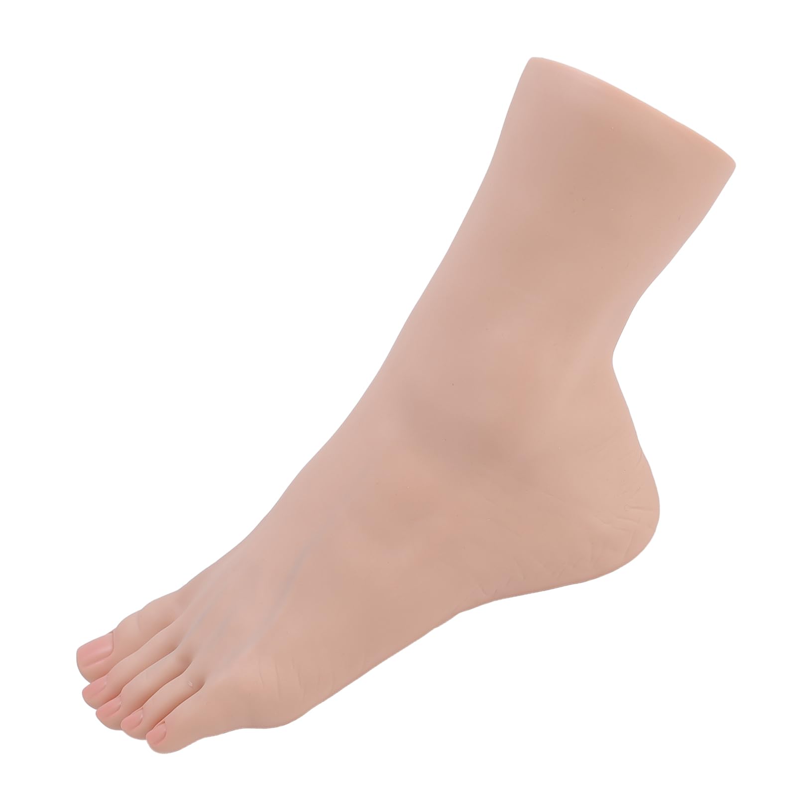 Manichino del Piede in Silicone con Strutture Muscolari e Ossee Realistiche