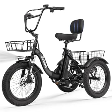 3 wheel electric bikes for seniors