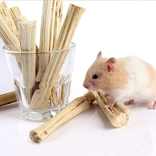 Heatoe 1 Ib Pet Molar Sweet Bamboo Snacks, Pet Chewing Toys Molar Sticks for Rabbits & Chinchillas & Guinea Pigs… - Image 5
