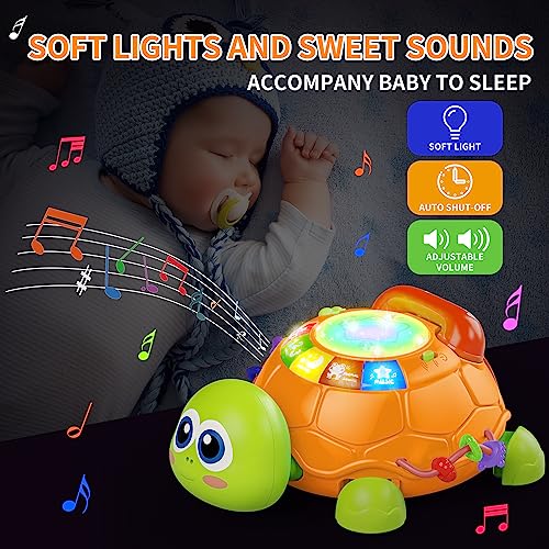 Image of Letapapa Baby Toys 6 to 12 Months, Musical Turtle Baby Toys for 12-18 Months, Crawling Toy with Light & Sound, Educational Toy Birthday Gift for Baby Infant 3-6 7 8 9 10 Months 1 Year Old Toddlers