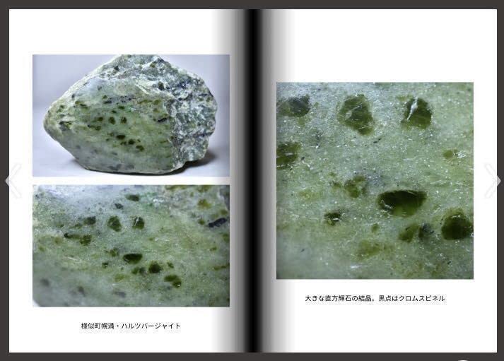 北海道・様似・幌満橄欖岩・ハルツバージャイト 北海道幌満かんらん岩を