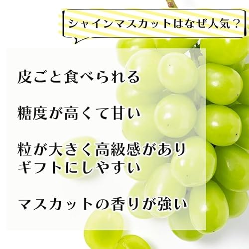 みさわのやさい シャインマスカット の商品画像 2