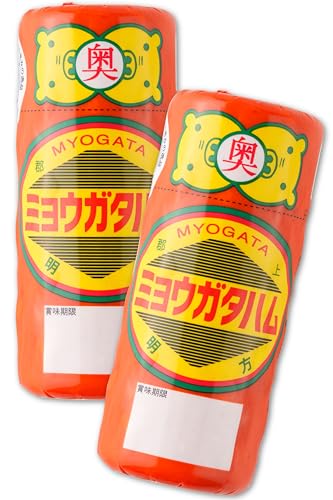 n 2{Zbg Y ؓ n Mtg p ^pbN ܂  O Zbg