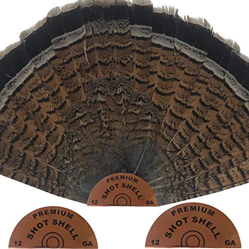 Top 10 Best Shot Size For Pheasant Reviews & Buying Guide Katynel