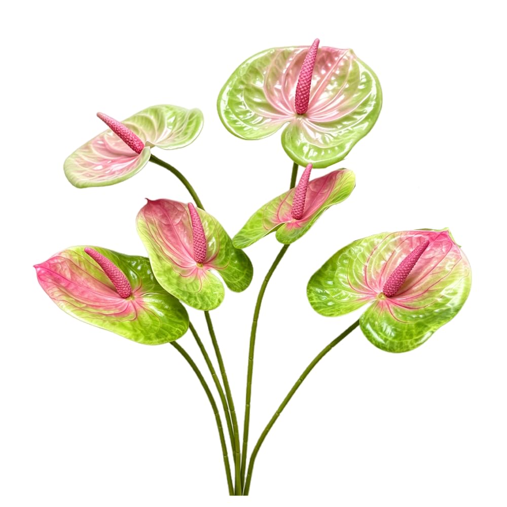 Rikyo 5pcs 24inch/61cm Artificial Anthurium Lily Flowers Permanent for Home Decor Bridal Wedding Festival Party, Crafts, Store Decor Small Flower Bouquet Accessories (Green)