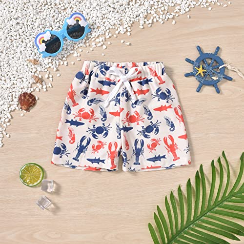 Image of Aalizzwell Baby Swim Trunks, Toddler Infant Swimsuit Bathing Suit Beach Swimming Shorts