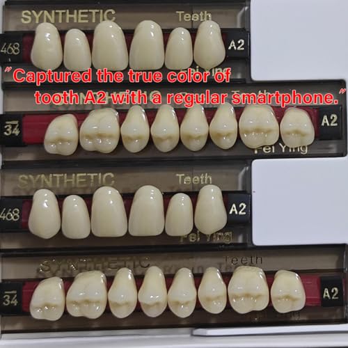Image of A2 of Maximum Standard Size Teeth Fake Teeth, Tooth KitDIY All Teeth 3 Sets.Dental Education,Dental Teeth Teaching Model(New 1 Box)