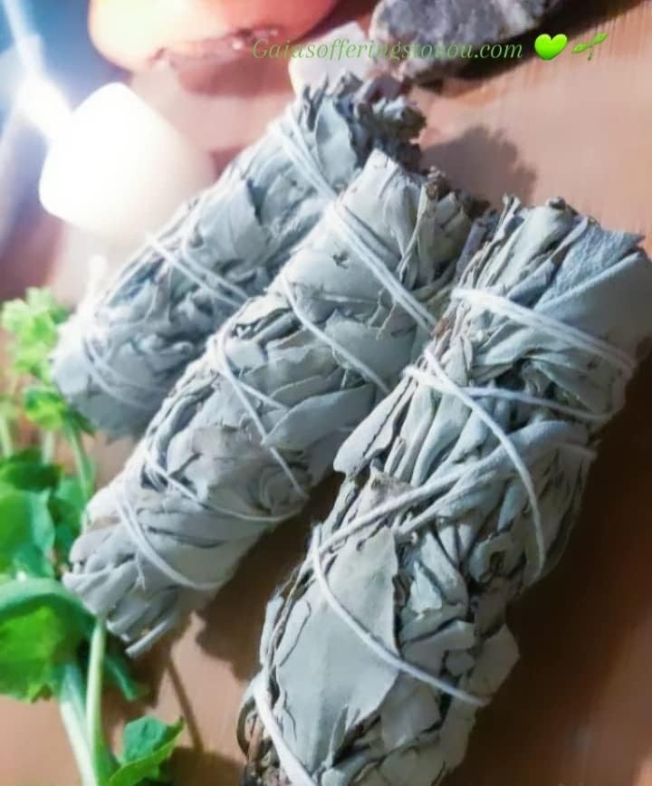 Miniatura 2 de Set California White Sage & Palo Santo