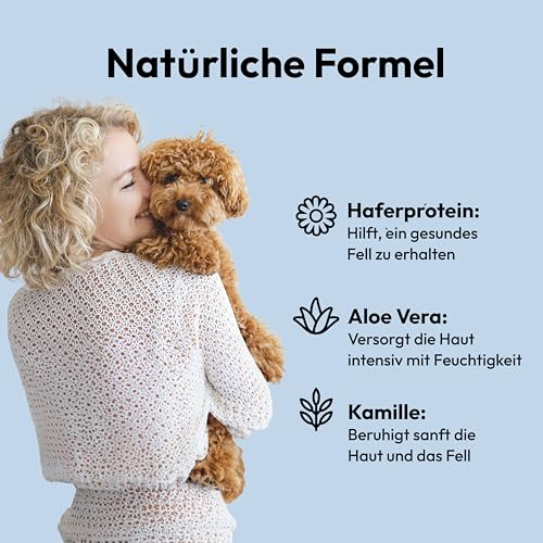 Belly Mittel gegen Juckreiz beim für Hund - 250ml - Hunde Pflege Spray pflegt die Haut bei Grasmilben Milben Reizungen Läusen und unterstützt den Regenerationsprozess Anti Juckreiz