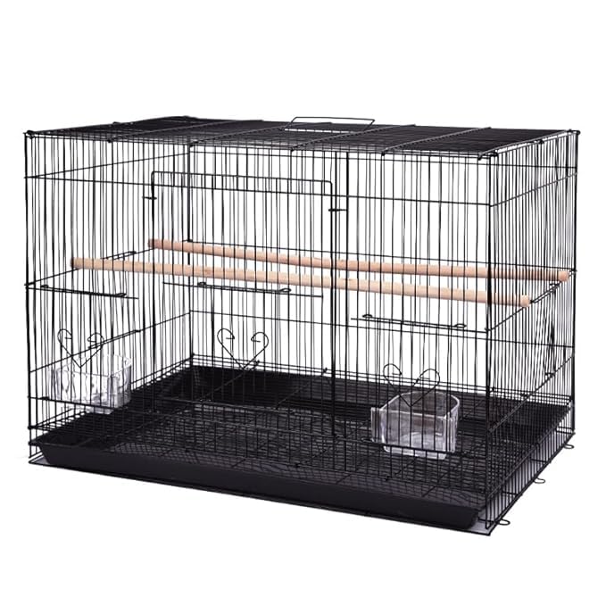 Bird Cages, Parrot, Parakeet, Budgies, Cockatiel Cage - 2 Ft Bird Cage with 2 Gate, Hammock, Large Bird Cage (60x40x40 Metal) (24 Inch)