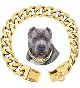 Amazon.com : BAOBOTE Gold Chain Dog Collar with Secure Snap Buckle