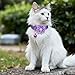 Tweruna 6 PCS Flower Kitten Collar with Bell, Adjustable Cute Cat Collar with Rhinestone for Female, Breakaway Small Kitten Collars, 6 Colors