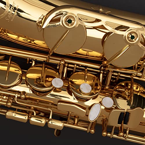 Image of Saxophone Herche Superior Bb Tenor Saxophone X3 | Professional Instruments for All Levels | High F# Key | Educator Approved & Service Plan