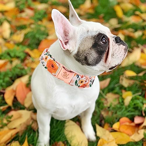 Cadeau de vacances collier d'automne pour chien réglable - 6