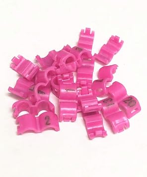 fpigeon 2.7mm 3mm 4mm 4.5mm 5mm Birds Leg Clips Open snap Canary Parrot Rings Bands Number Plastic 1-20 4mm,Pink