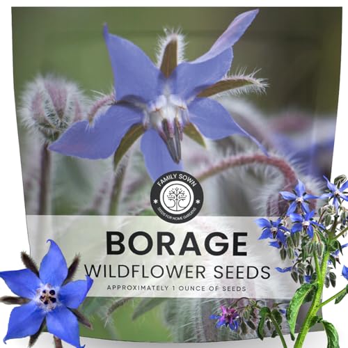 Borage 1 000 Seeds for Planting 2026 Season 1 Ounce Pouch