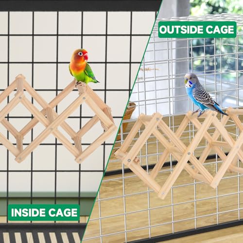 Image of Parrot Multi-Angle Peaches Platform(3 Blocks), Bird Enrichment Toys Activities Parakeet Cage Accessories Wooden Playing Gyms Exercise Sturdy for Small to Regular Birds