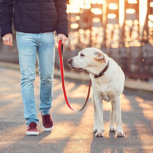 simarro Hausleine für Hunde, 60cm Hunde Leine Kurze Hundeleine mit gepolstertem Griff doppeltes Gurtband Nylon reflektierende Haustier Leinen Hundeleine Hundeleine kleine Mittel große Hunde (Rot)