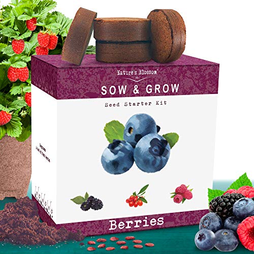 Nature's Blossom Fruit Growing Kit. Grow 4 Types of Berries from Seed: Raspberries, Blueberries, Goji Berry, Blackberries Organic Seeds, Pots, Seed Starting Soil, Markers, Gardening Guide