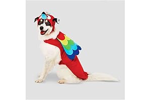 Halloween Parrot Dog Costume