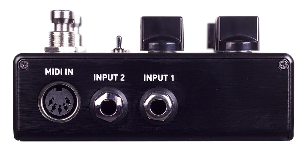 Source Audio SA 264 - One Series Encounter Ambient Delay+Reverb