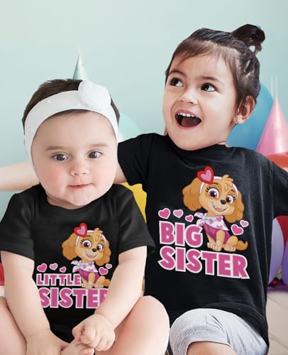 Tstars Paw Patrol Skye Big Sister Little Sister Matching Outfits Girls Sibling Shirts2