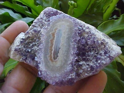 Gemqz C5601 Amethyst LOG Cluster Polished Face Large !!!