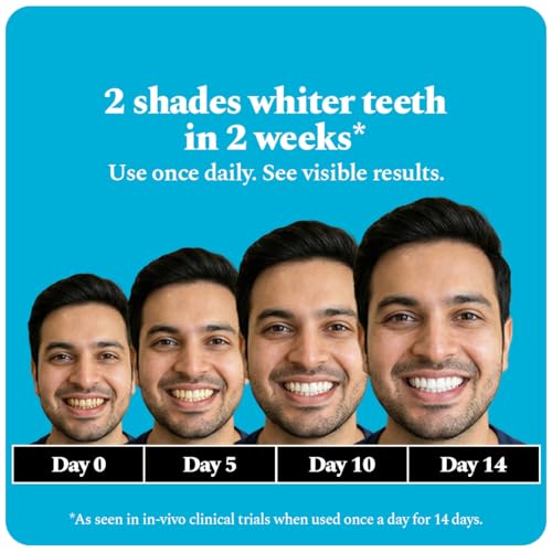 Image of Perfora Teeth Whitening Strips - Pack of 14 Treatments (28 Strips) - Whitens Teeth in 1 Use | Sensitivity-Free, Enamel-Safe Oral Care | PAP & Hydroxyapatite for Stain Removal | Fast & Effective Teeth Whitening Products